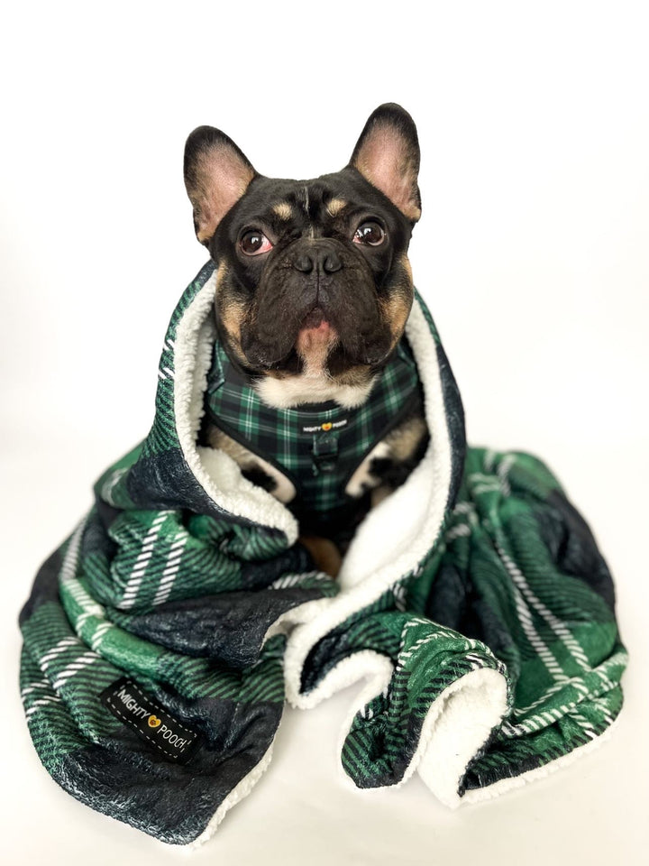 Throw Blanket - Pawfect Plaid 💚