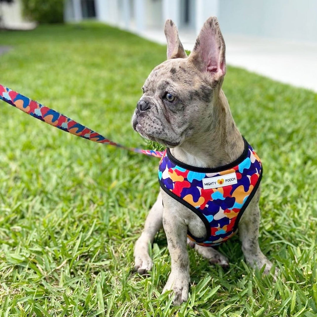Reversible Harness - Camo ❤️