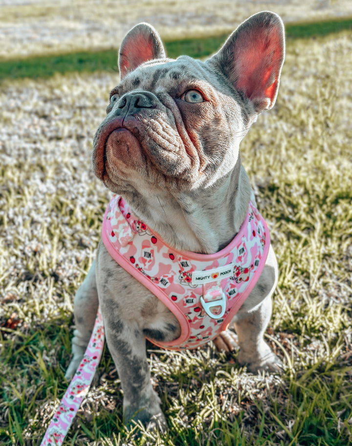 No-Pull Adjustable Harness - Strawberry Cow🍓