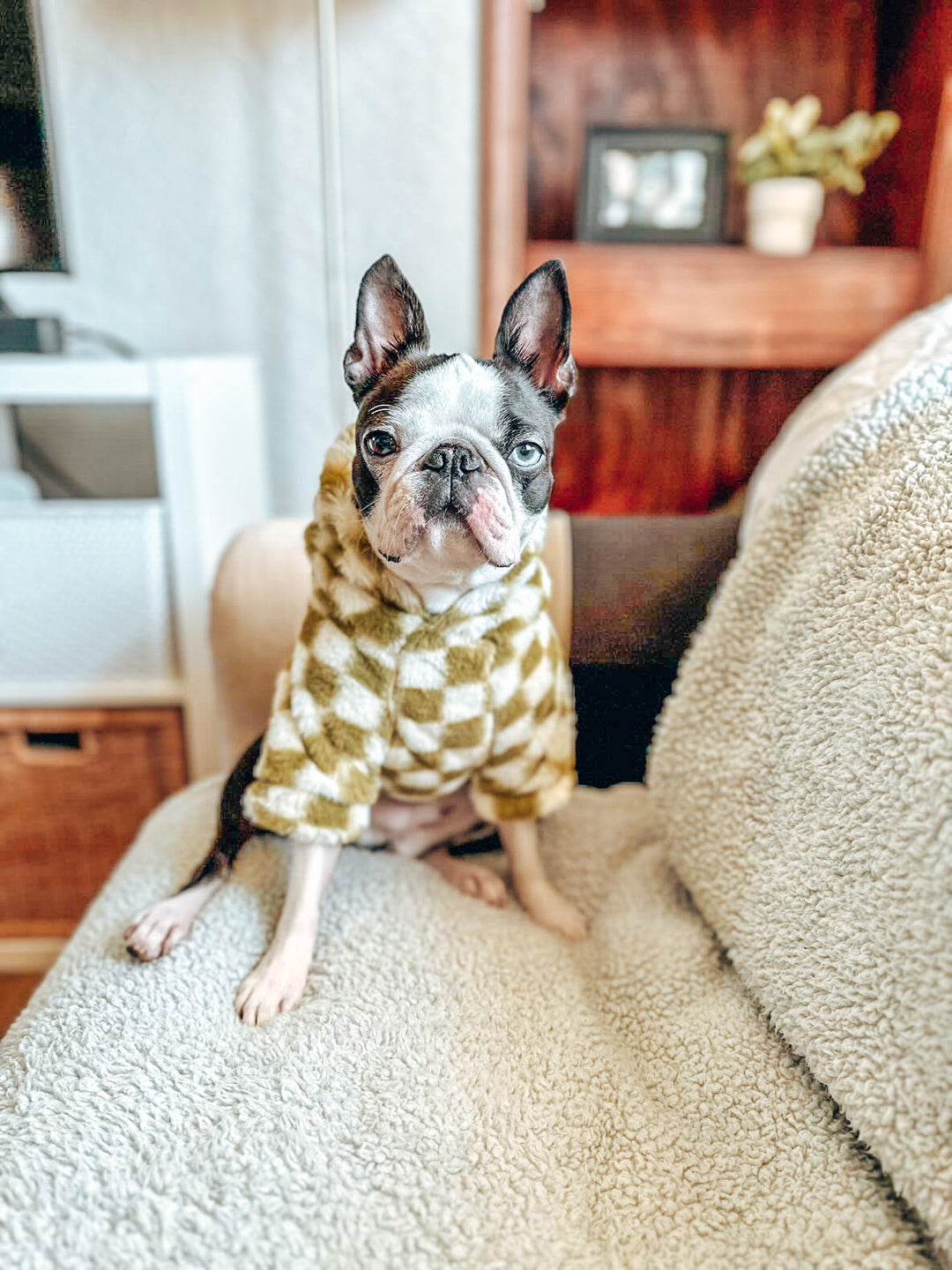 Green Checkered Hoodie