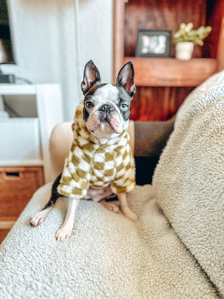 Green Checkered Hoodie