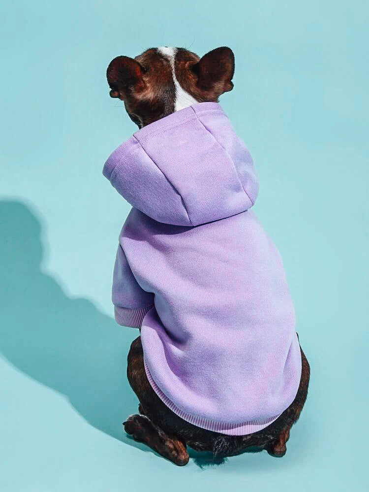 Solid Colored Hoodie