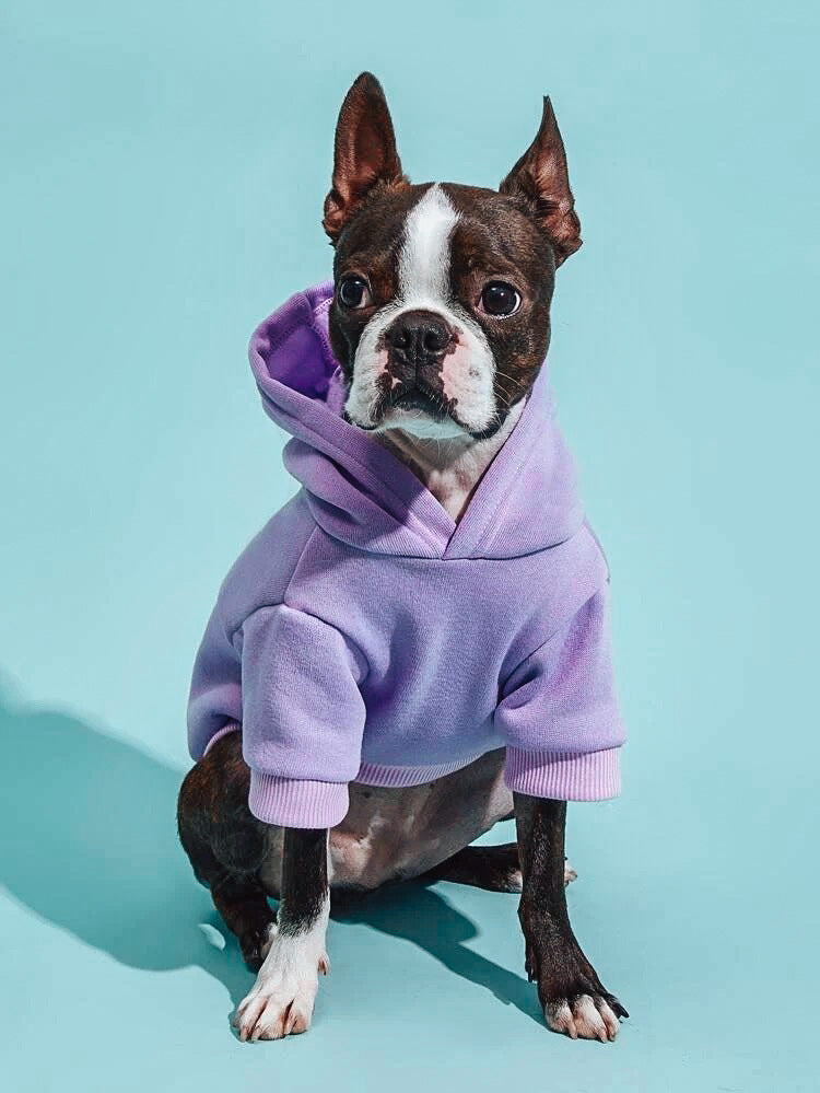 Solid Colored Hoodie