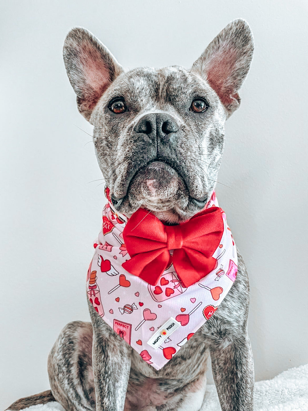 Velvet Sailor Bow - Ruby Red