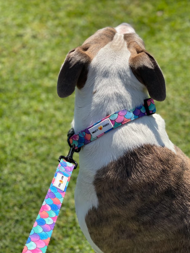 Comfort Leash - Fish Scale 🐟