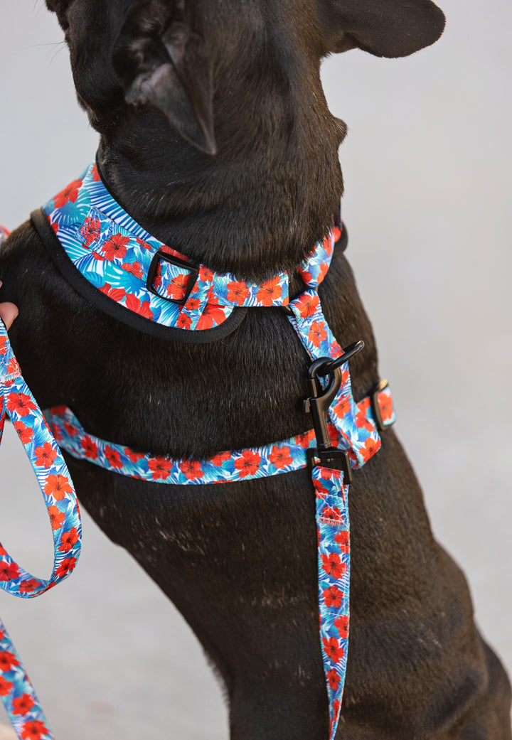 Comfort Leash - Hibiscus Palms 🌺
