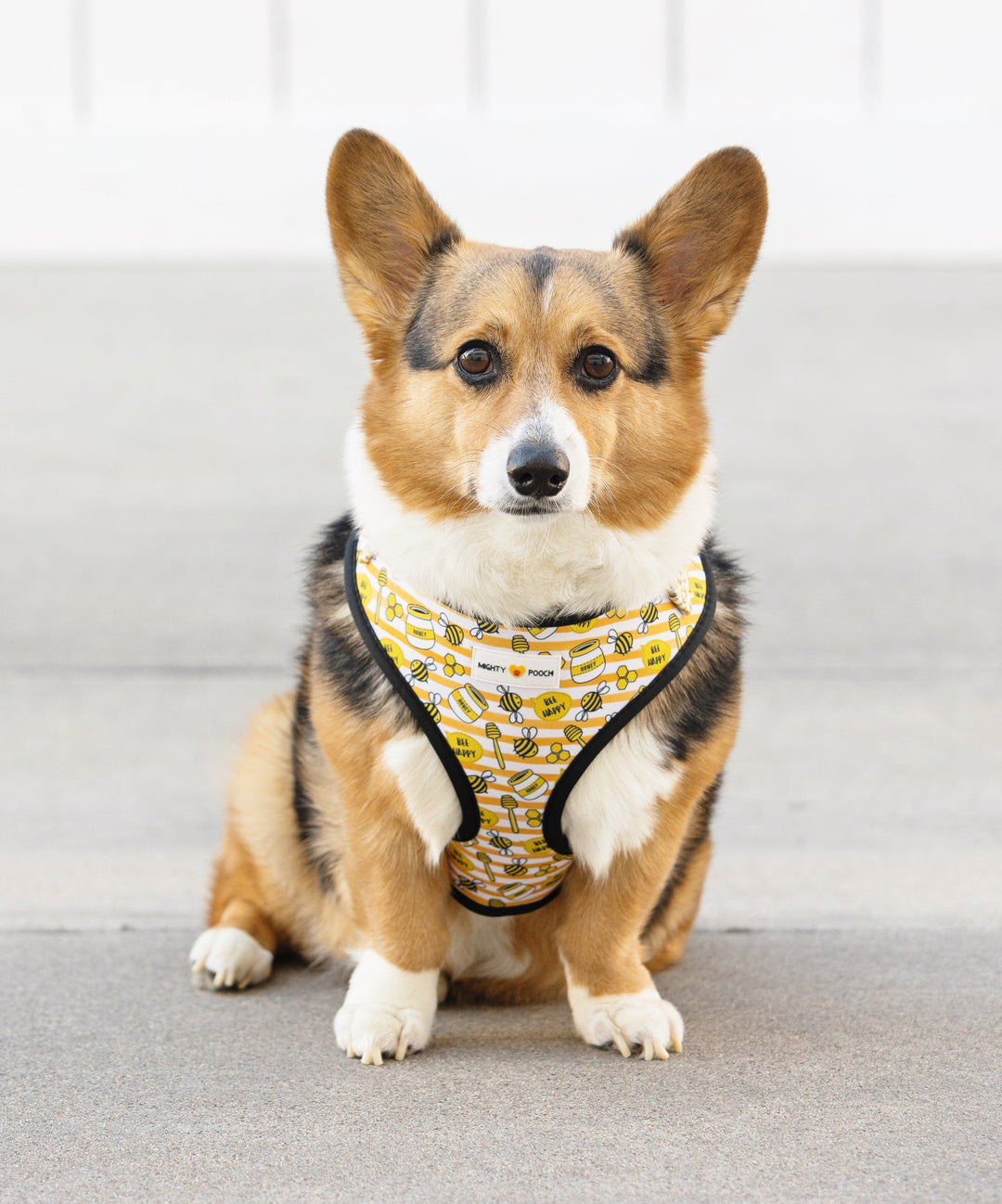 Adjustable Harness - Honey Bee 🐝
