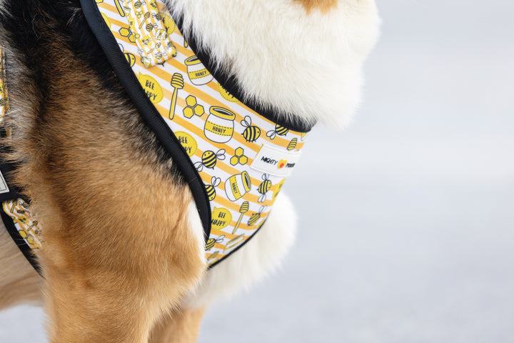 Adjustable Harness - Honey Bee 🐝