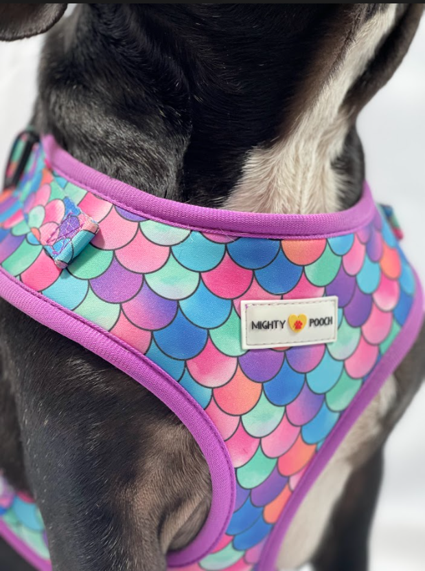 Adjustable Harness - Fish Scale 🐟