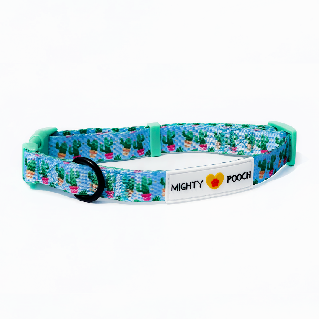 Comfort Collar - Cactus 🌵