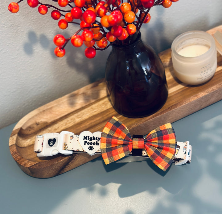 Bow Tie - Pupkin Spice 🍁