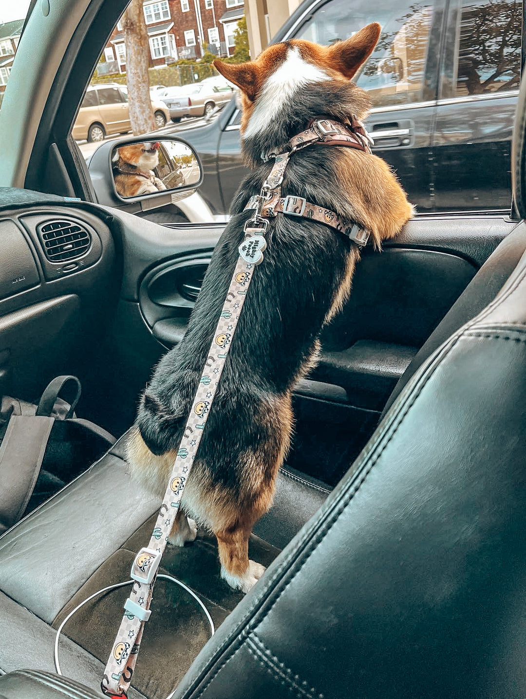 Adjustable Pet Car Seatbelt - YeePaw 🤠