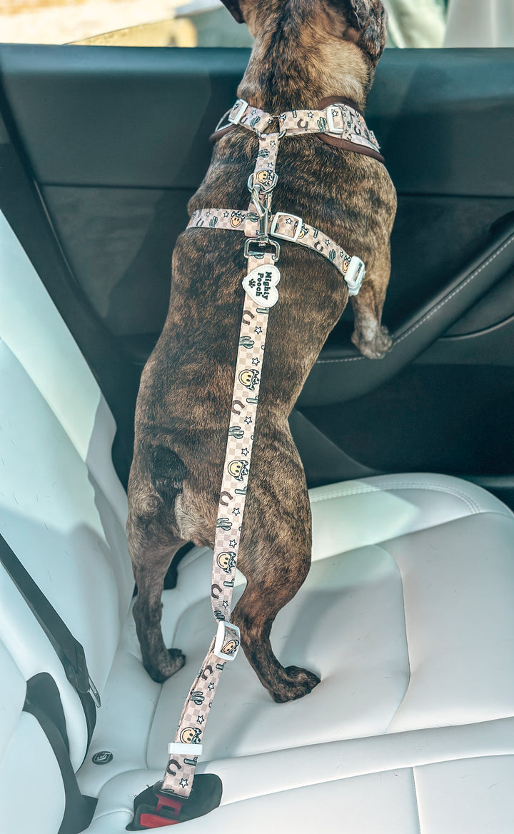 Adjustable Pet Car Seatbelt - YeePaw 🤠