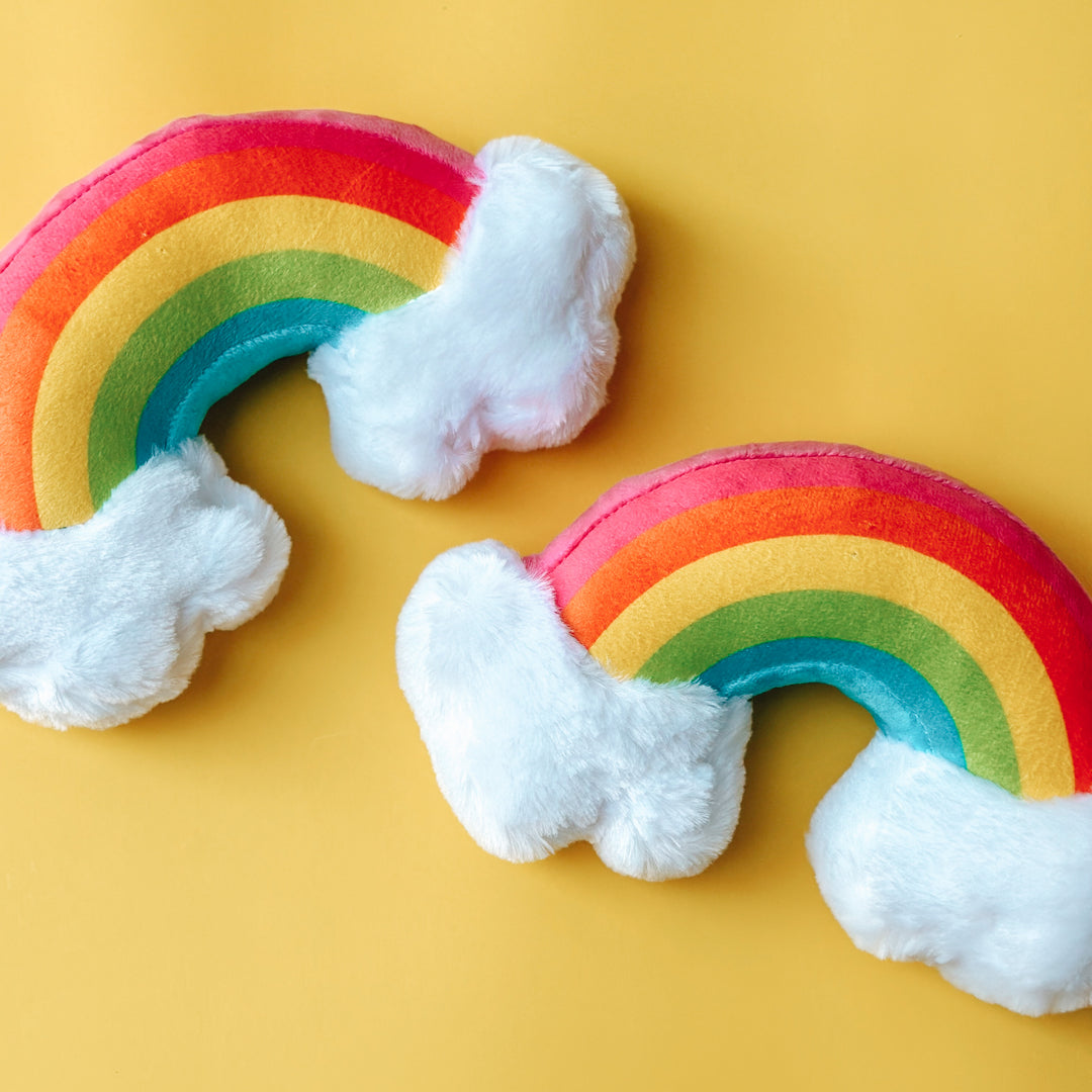 Rainbow Squeaky Toy