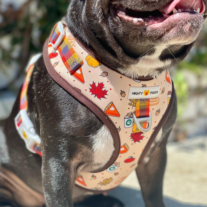 No-Pull Adjustable Harness - Pupkin Spice 🍁