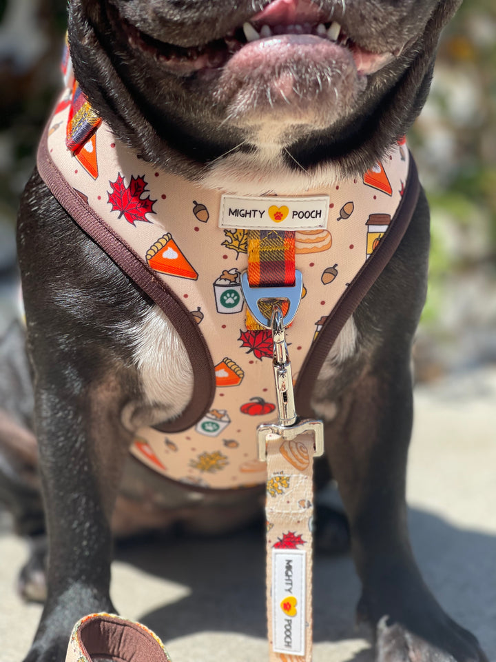 No-Pull Adjustable Harness - Pupkin Spice 🍁