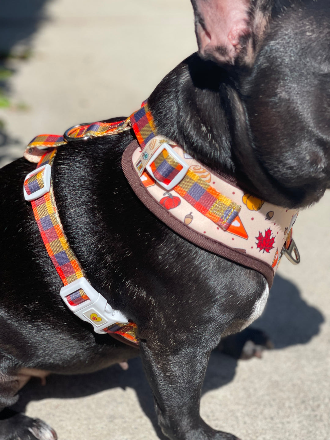 No-Pull Adjustable Harness - Pupkin Spice 🍁