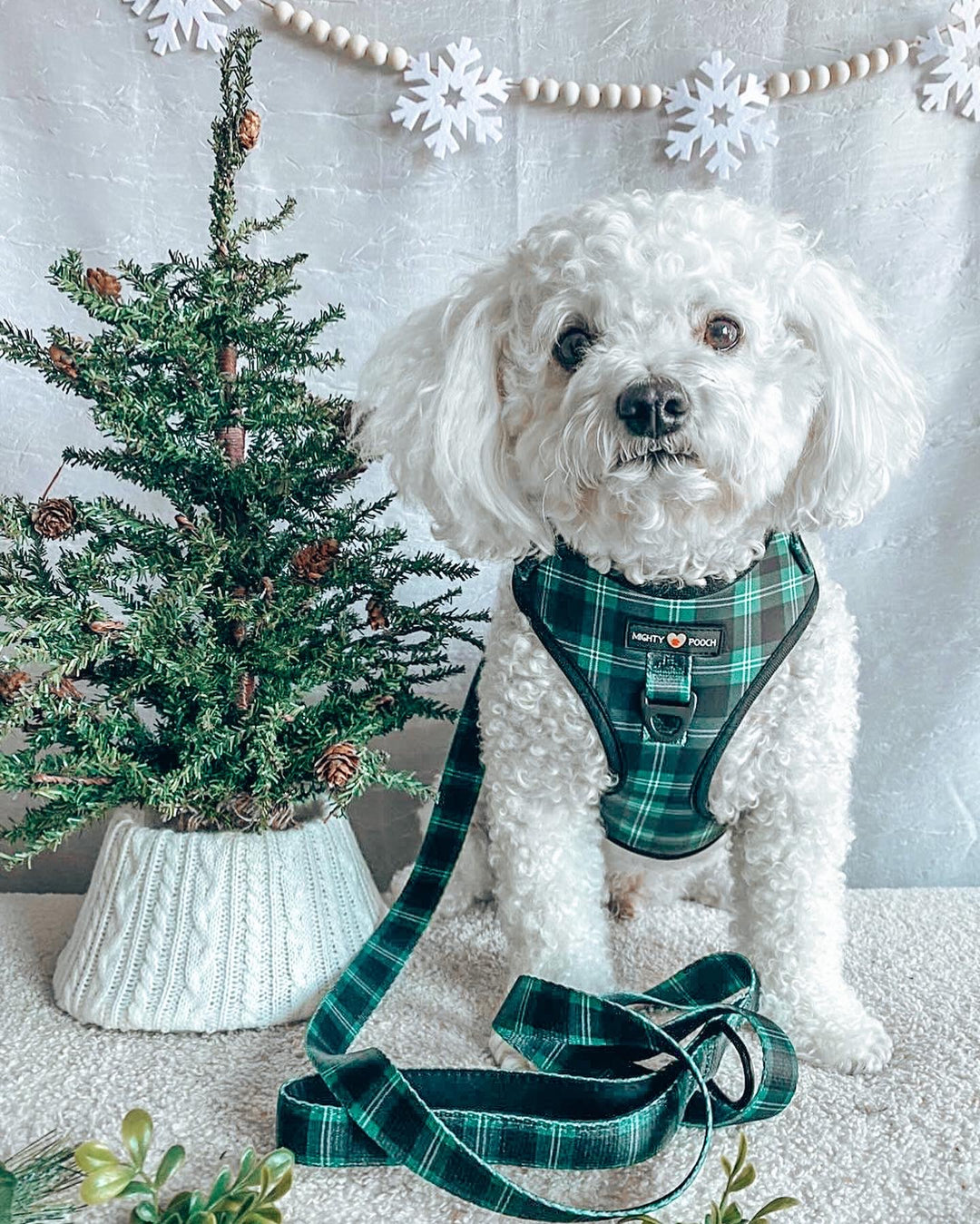 No-Pull Adjustable Harness - Pawfect Plaid 💚