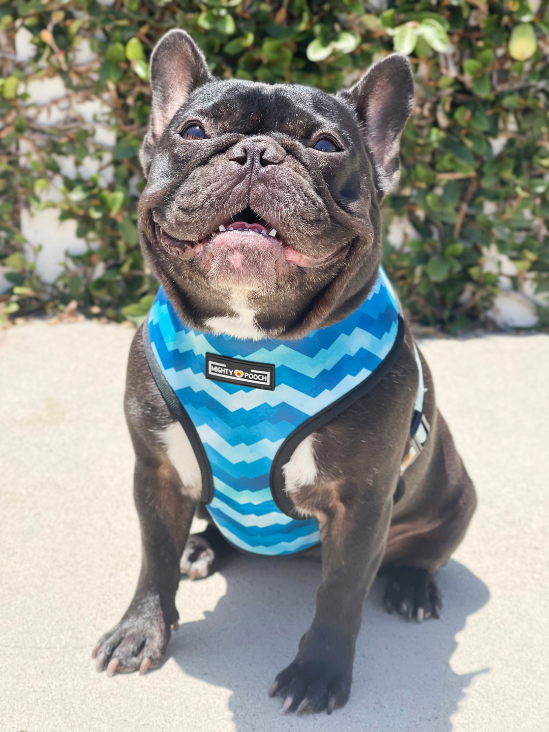 Walk Kit - Under the Sea 🦀