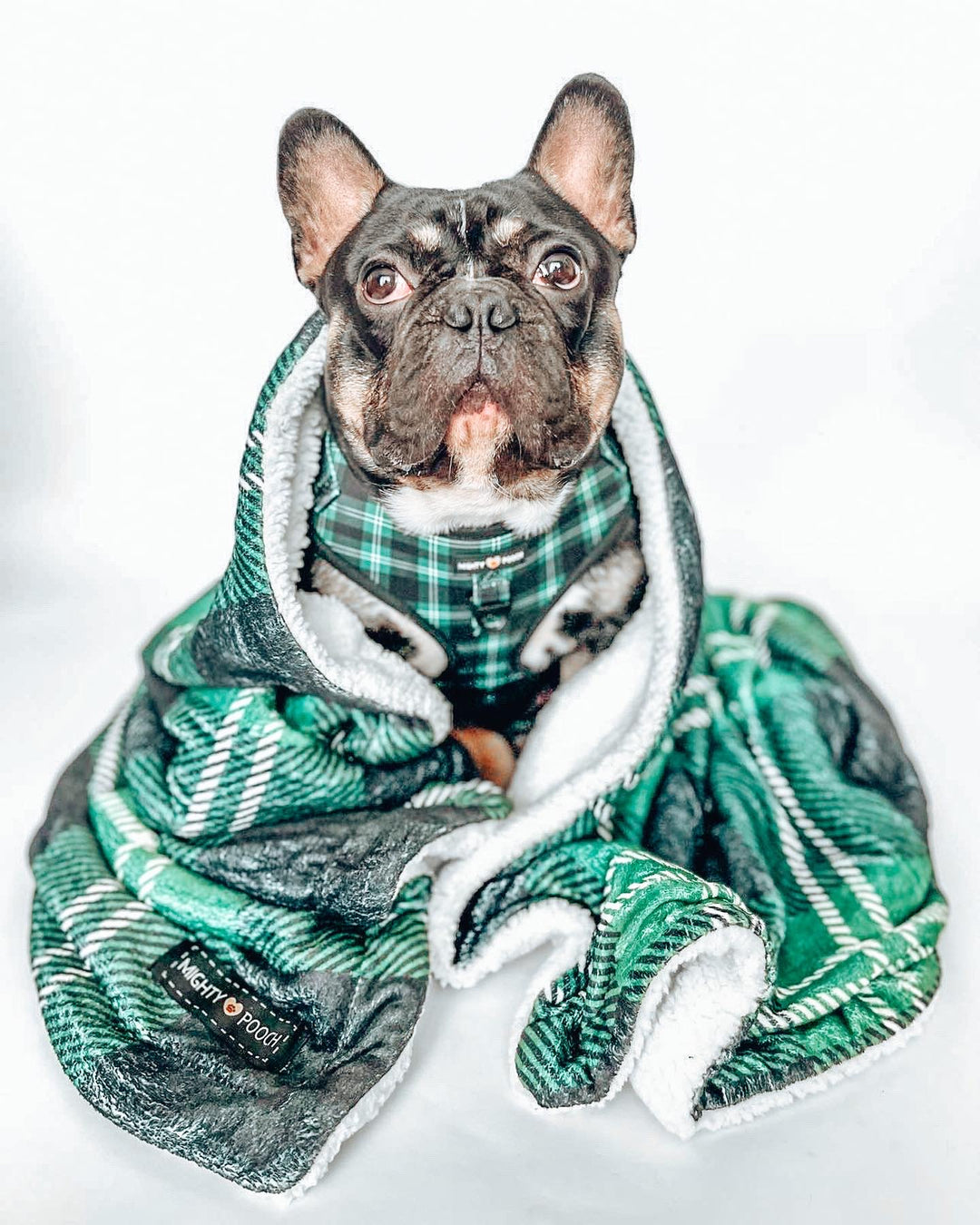 No-Pull Adjustable Harness - Pawfect Plaid 💚