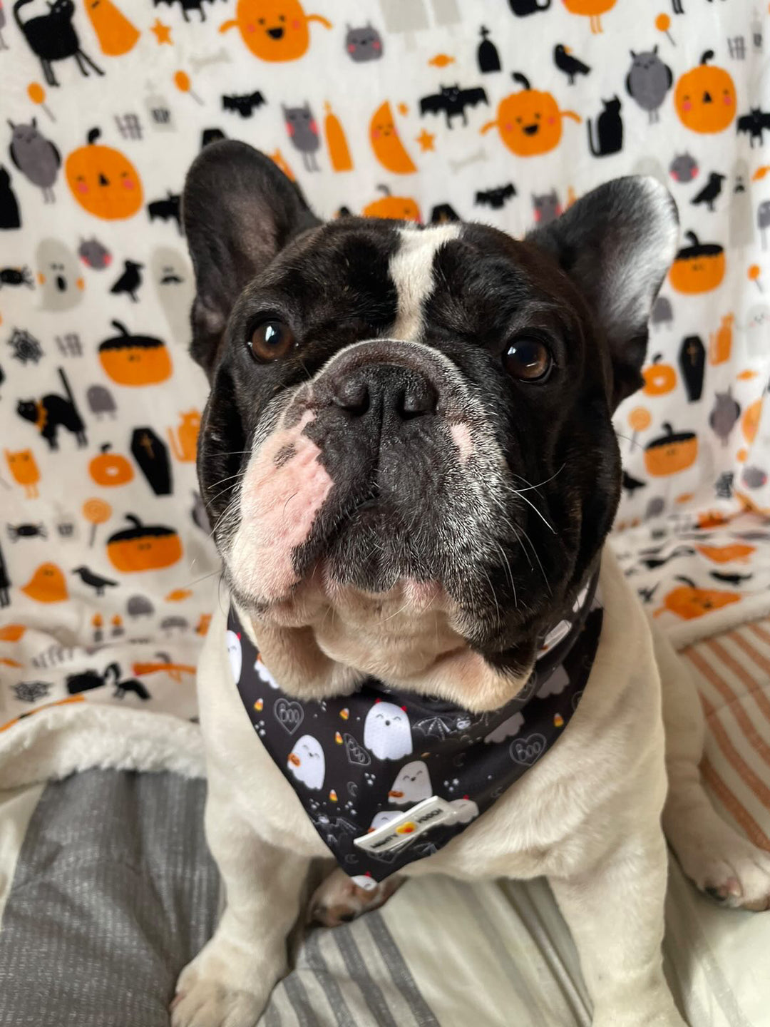 Halloween Cooling Bandana 🎃👻🦇