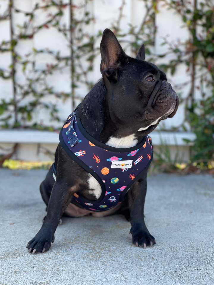 Walk Kit - Space Jam 🚀