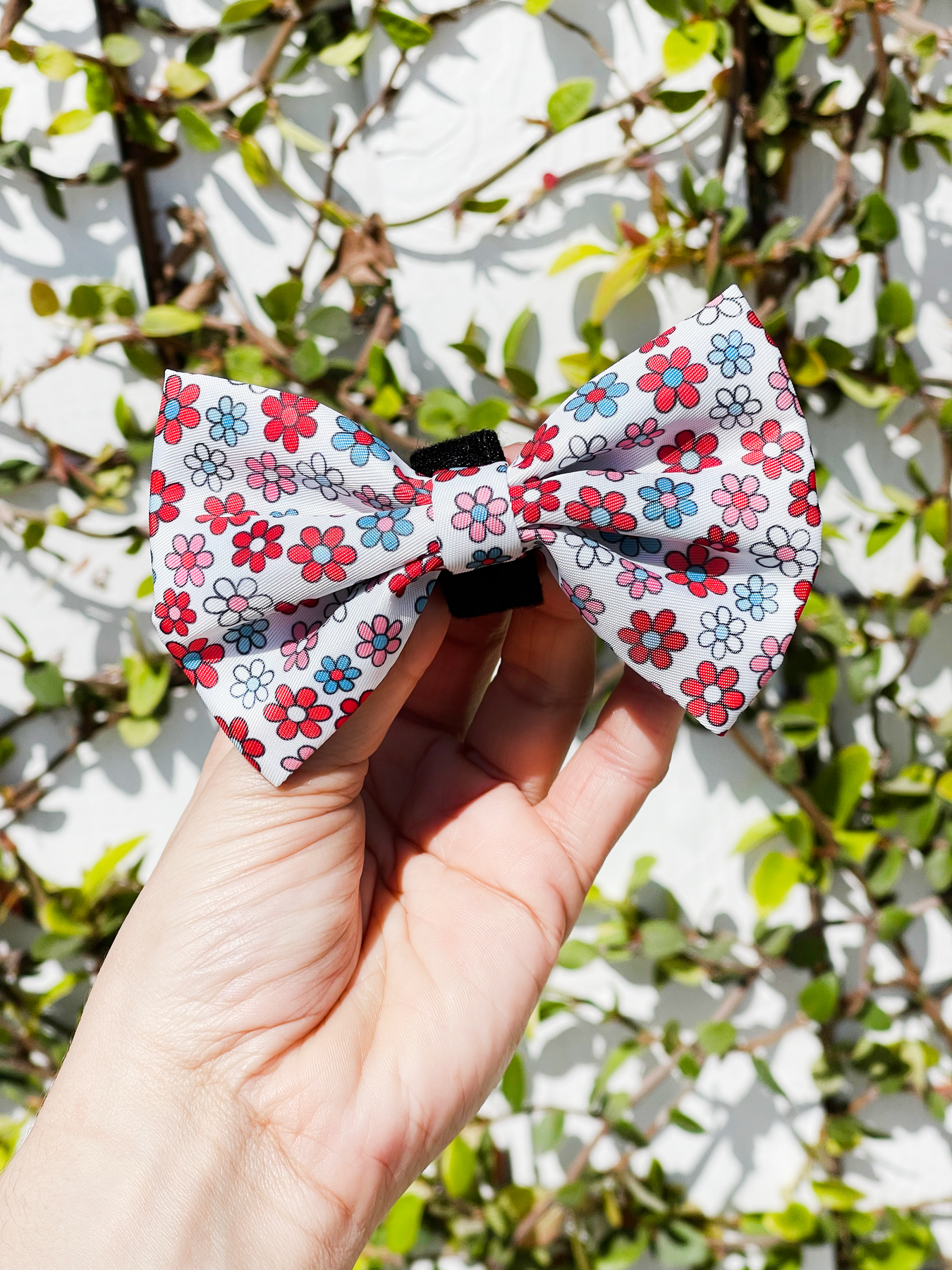 Bow Tie - Dayzie 🌼 – Mighty Pooch, LLC Bow Tie - Dayzie 🌼 – Mighty Pooch, LLC