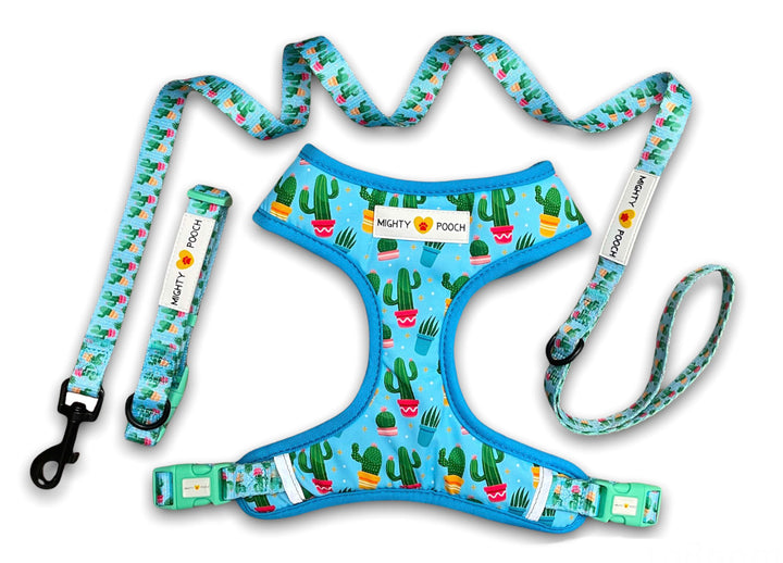 Walk Kit - Cactus 🌵