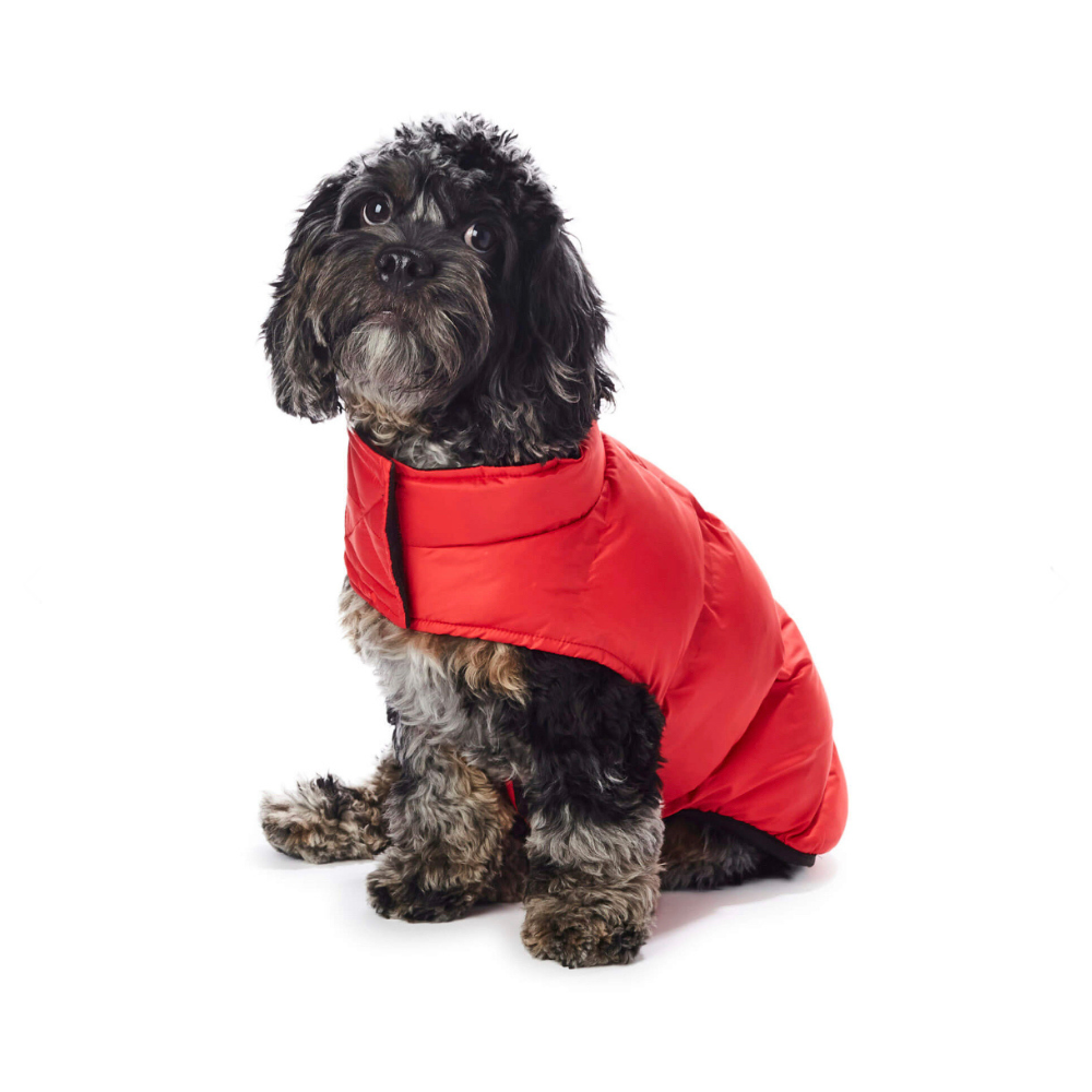 Hotel hot sale doggy jacket