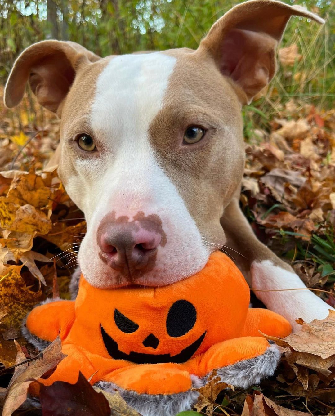 Reversible Pumpkin Plushie