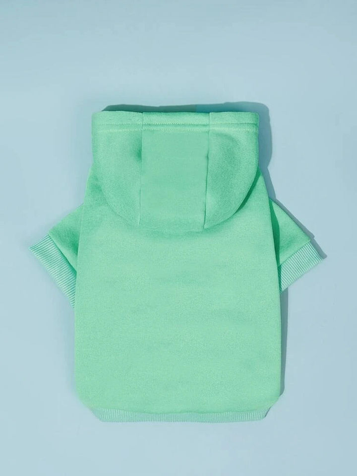 Solid Colored Hoodie
